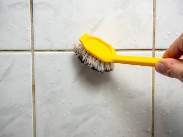 Best Insurance-Related Mold Remediation in Hewitt, TX