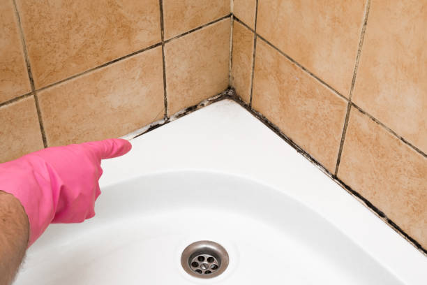 Professional Mold Remediation in Hewitt, TX